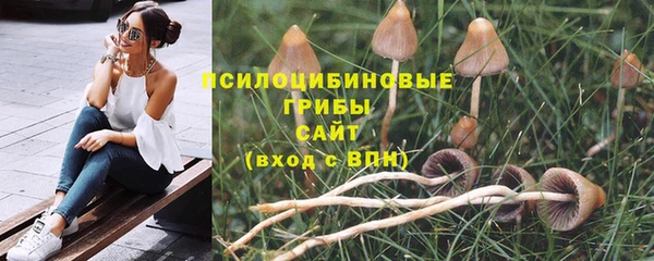 МДПВ Волосово